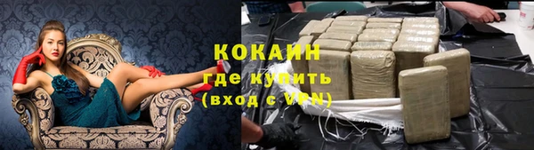 шишки Абинск
