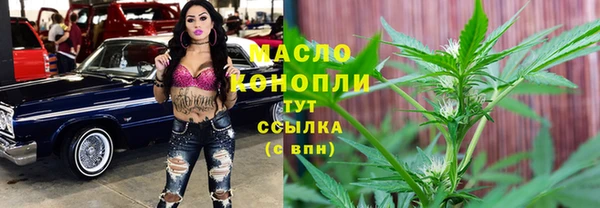 прущий лед Абаза