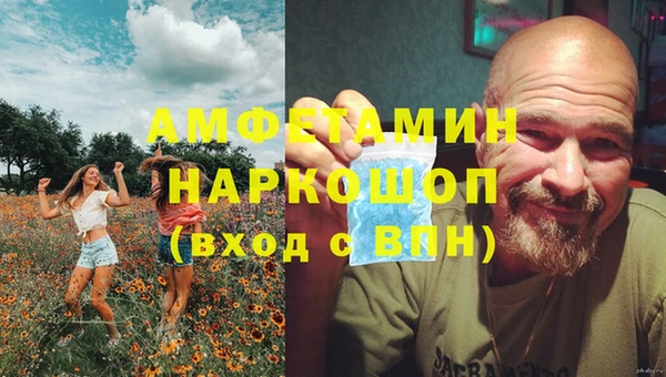 шишки Абинск